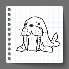 walrus doodle N6
