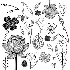 flower and leaf hand drawn sketch doodle black white