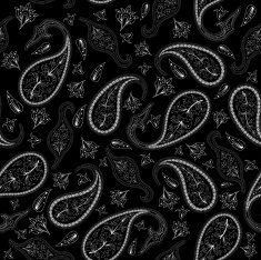 Oriental seamless paisley pattern N2