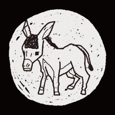 donkey doodle N7