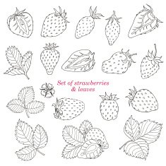 Set of strawberries and leaves