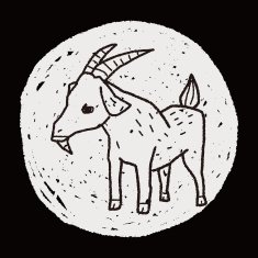 sheep doodle N17