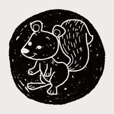 Squirrel doodle N12