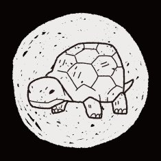 Tortoise doodle N14