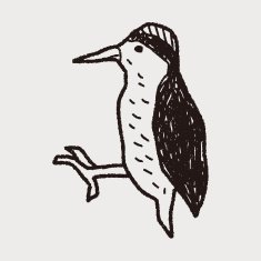 woodpecker doodle N7