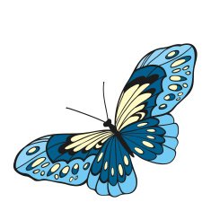 Blue butterfly with open wings in a top view N2
