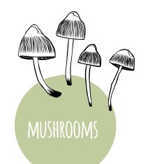 Set with mushrooms N2