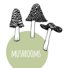 Set with mushrooms N5