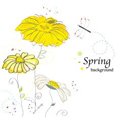 Daisy flower doodle greeting card vector
