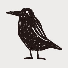 crow doodle N9