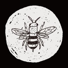 bee doodle N16