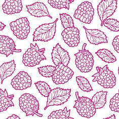cute raspberry pattern N2