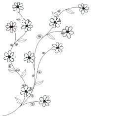black and white doodle flowers hand drawn vector