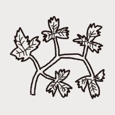 Parsley doodle N21