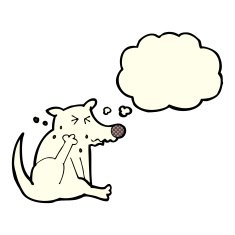 cartoon dog scratching with thought bubble N10