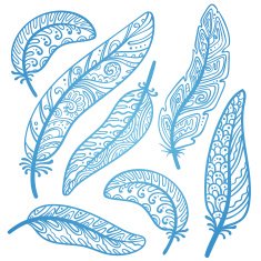 Vector colored feathers set N7