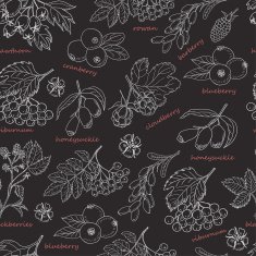 Seamless pattern with forest berries on dark background