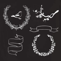 Vector hand drawn spring graphic set on blackboard