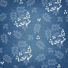 Denim background with rowan N2