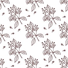 Herbs and Spices Collection - Clove N11