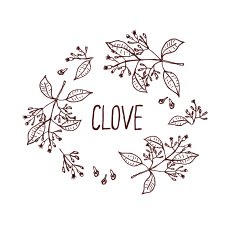 Herbs and Spices Collection - Clove N12