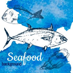 Seafood vector illustration N3
