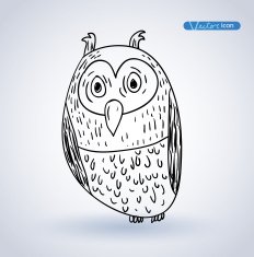 Bird vector illustration N5