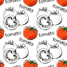 Tomatoes hand drawn seamless pattern