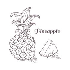 Engraving pineapple in vector