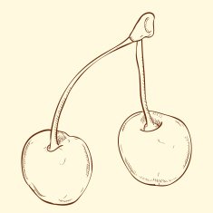 Vector sketch hand drawn of cherry N2