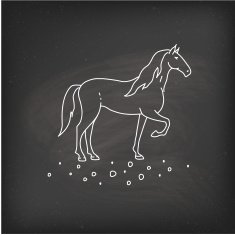 Horse icons N2
