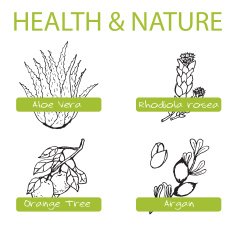 Handdrawn Set - Health and Nature Collection of Medicine Herbs N3