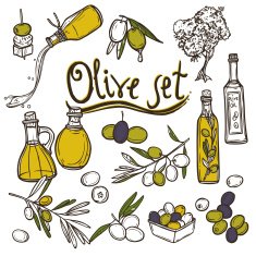 Olive Icons Set