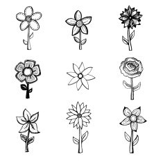 Hand drawn flowers N9