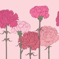 Carnations pattern