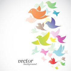 Bird design on white background N2
