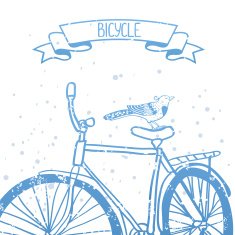 Bicycle N16