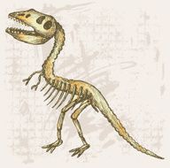 Tyrannosaurus skeleton