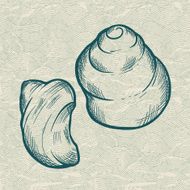 Sea shell Original hand drawn illustration in vintage style N3