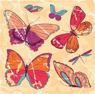 butterfly set N2