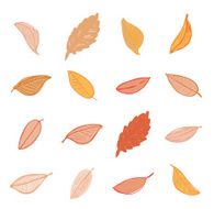 leaves doodles set Vector hand drawn illustration N7