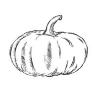 Vector Single Sketch Pumpkin