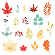 Set of various stylized autumn leaves and elements