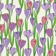 Seamless pattern with spring flowers Crocus