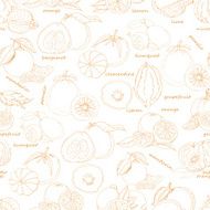 Seamless pattern with citrus fruit on white background