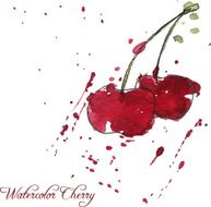 two cherries drawing by watercolor