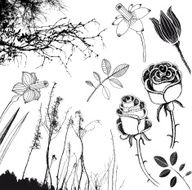 Doodle flowers and plants