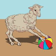 sheep playing the ball