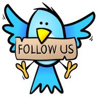 Blue Bird - Follow us