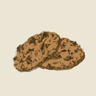 Chocolate Chip Cookies N7